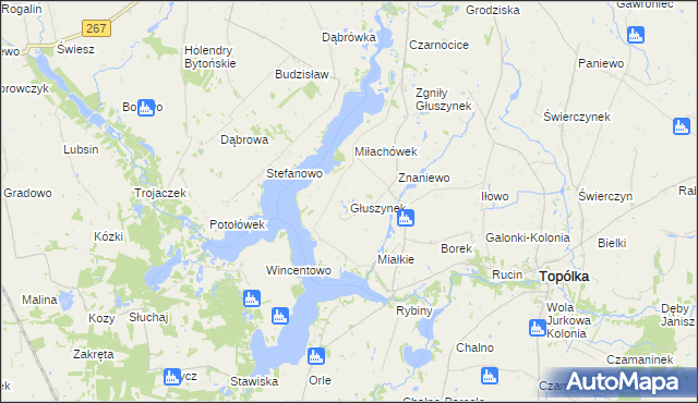 mapa Głuszynek, Głuszynek na mapie Targeo