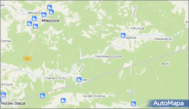 mapa Gołubowszczyzna, Gołubowszczyzna na mapie Targeo