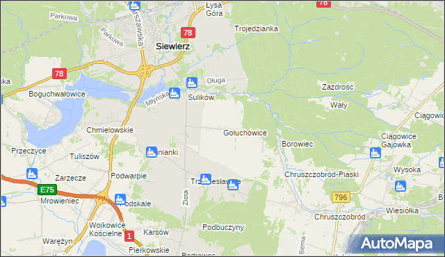 mapa Gołuchowice gmina Siewierz, Gołuchowice gmina Siewierz na mapie Targeo