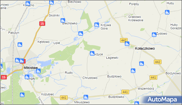 mapa Gorzyce gmina Miłosław, Gorzyce gmina Miłosław na mapie Targeo