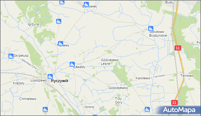 mapa Gościejewo Leśne, Gościejewo Leśne na mapie Targeo