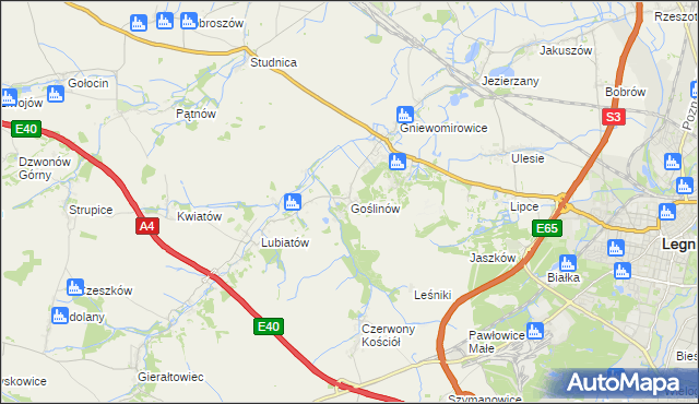 mapa Goślinów, Goślinów na mapie Targeo