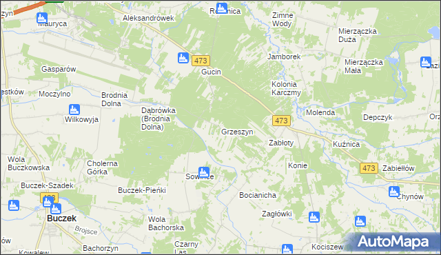 mapa Grzeszyn gmina Buczek, Grzeszyn gmina Buczek na mapie Targeo