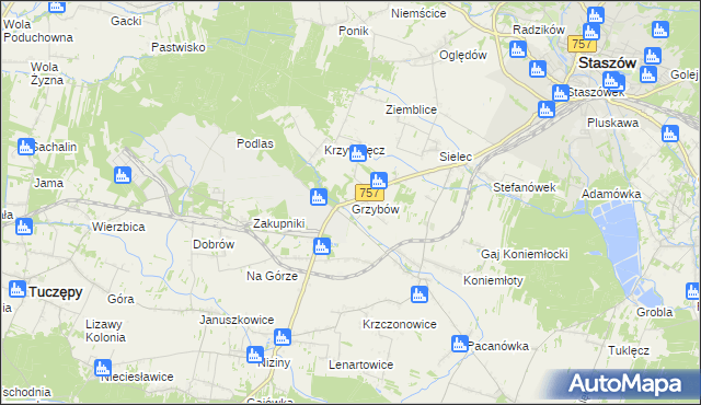 mapa Grzybów gmina Staszów, Grzybów gmina Staszów na mapie Targeo