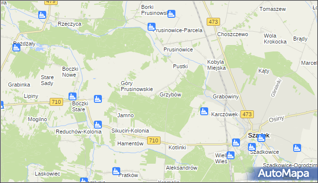 mapa Grzybów gmina Szadek, Grzybów gmina Szadek na mapie Targeo