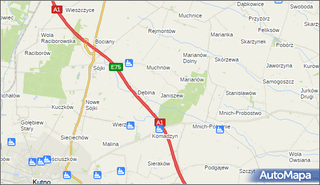 mapa Janiszew gmina Strzelce, Janiszew gmina Strzelce na mapie Targeo