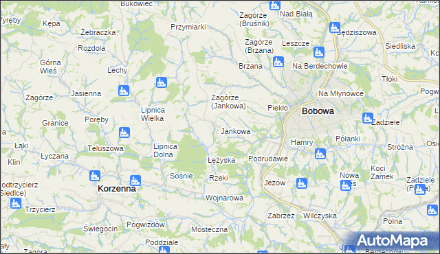mapa Jankowa gmina Bobowa, Jankowa gmina Bobowa na mapie Targeo