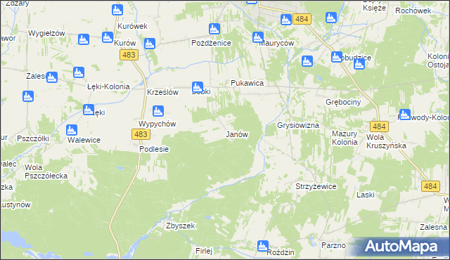 mapa Janów gmina Zelów, Janów gmina Zelów na mapie Targeo