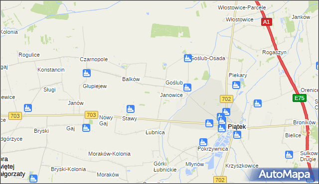 mapa Janowice gmina Piątek, Janowice gmina Piątek na mapie Targeo