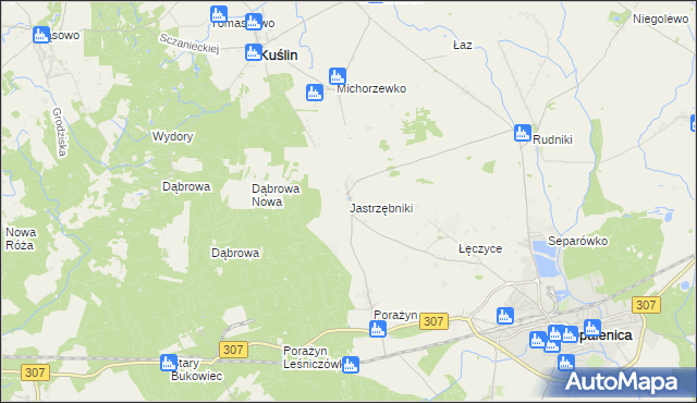 mapa Jastrzębniki gmina Opalenica, Jastrzębniki gmina Opalenica na mapie Targeo