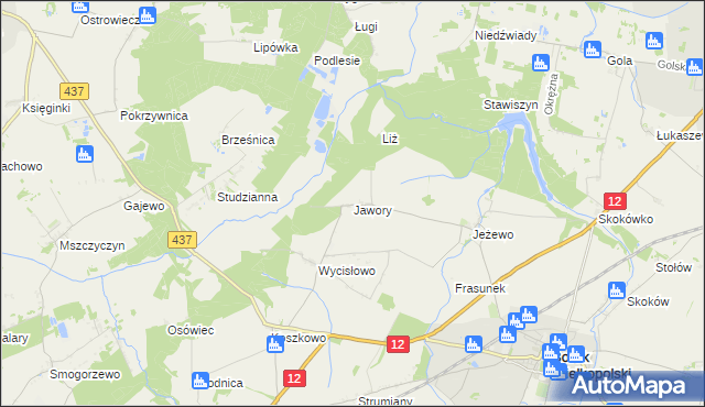 mapa Jawory gmina Borek Wielkopolski, Jawory gmina Borek Wielkopolski na mapie Targeo