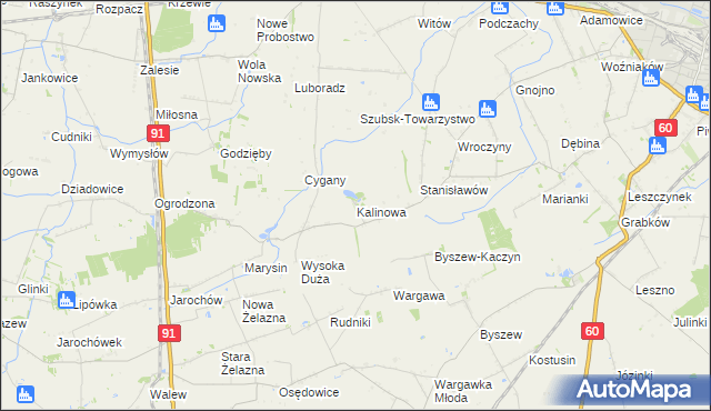 mapa Kalinowa gmina Kutno, Kalinowa gmina Kutno na mapie Targeo