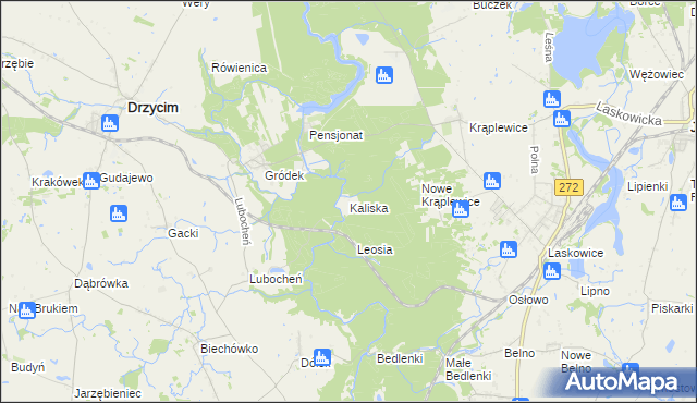 mapa Kaliska gmina Drzycim, Kaliska gmina Drzycim na mapie Targeo
