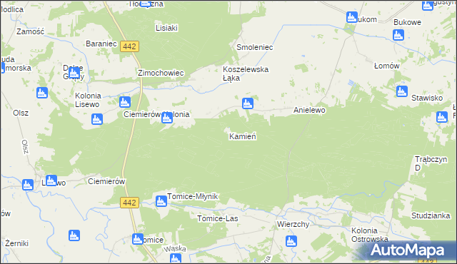 mapa Kamień gmina Pyzdry, Kamień gmina Pyzdry na mapie Targeo