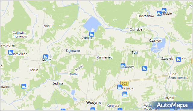 mapa Kamieniec gmina Wodynie, Kamieniec gmina Wodynie na mapie Targeo