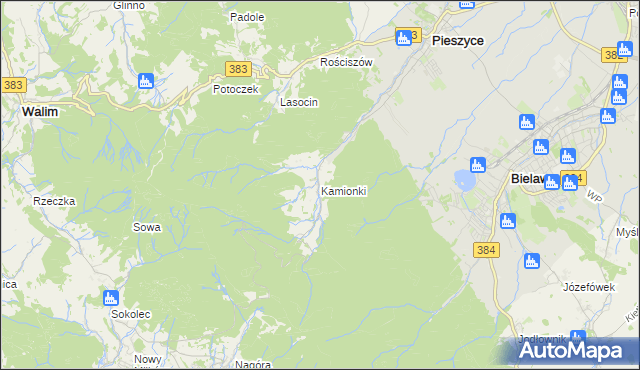 mapa Kamionki gmina Pieszyce, Kamionki gmina Pieszyce na mapie Targeo