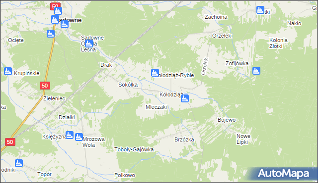 mapa Kołodziąż gmina Sadowne, Kołodziąż gmina Sadowne na mapie Targeo