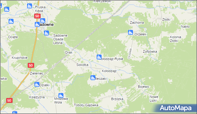 mapa Kołodziąż-Rybie, Kołodziąż-Rybie na mapie Targeo