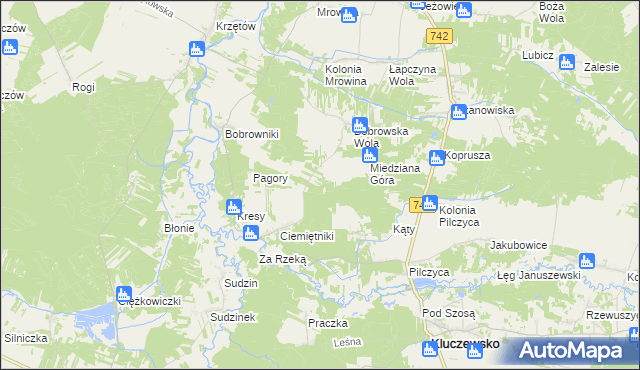 mapa Kolonia Bobrowska Wola, Kolonia Bobrowska Wola na mapie Targeo