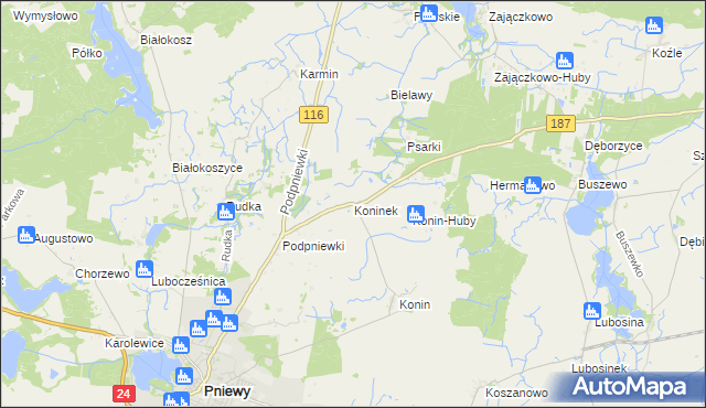 mapa Koninek gmina Pniewy, Koninek gmina Pniewy na mapie Targeo