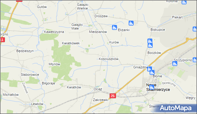 mapa Kościuszków gmina Nowe Skalmierzyce, Kościuszków gmina Nowe Skalmierzyce na mapie Targeo