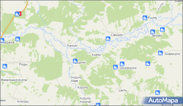 mapa Koźliki gmina Narew, Koźliki gmina Narew na mapie Targeo
