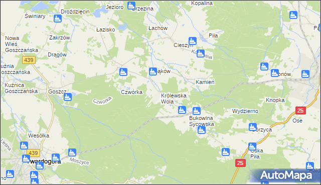 mapa Królewska Wola gmina Międzybórz, Królewska Wola gmina Międzybórz na mapie Targeo