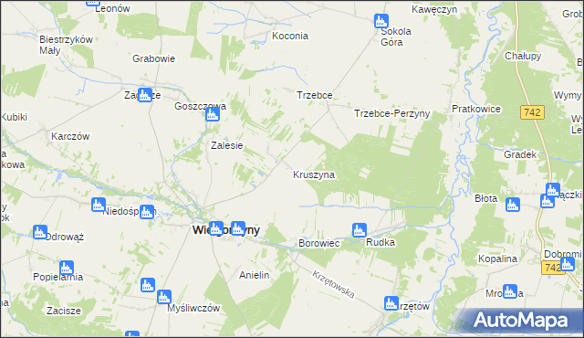 mapa Kruszyna gmina Wielgomłyny, Kruszyna gmina Wielgomłyny na mapie Targeo