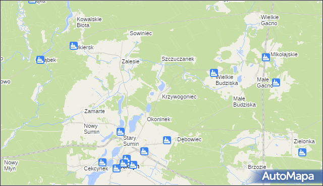 mapa Krzywogoniec, Krzywogoniec na mapie Targeo