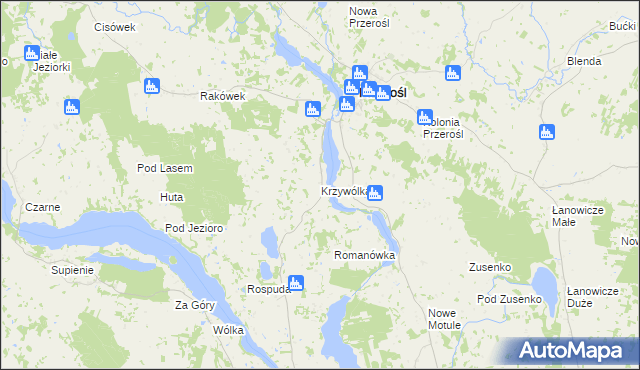 mapa Krzywólka gmina Przerośl, Krzywólka gmina Przerośl na mapie Targeo