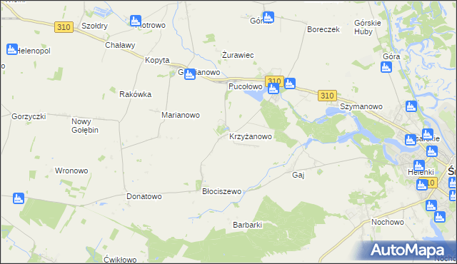 mapa Krzyżanowo gmina Śrem, Krzyżanowo gmina Śrem na mapie Targeo
