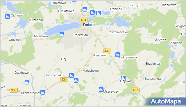 mapa Księginki gmina Dolsk, Księginki gmina Dolsk na mapie Targeo