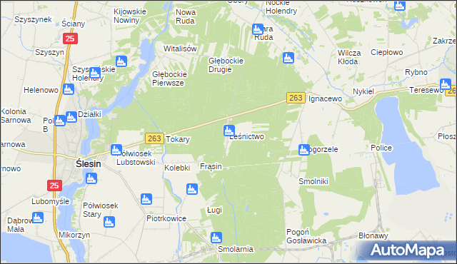 mapa Leśnictwo gmina Ślesin, Leśnictwo gmina Ślesin na mapie Targeo