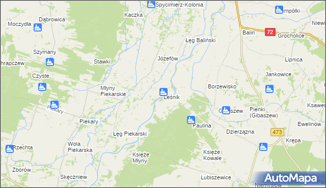 mapa Leśnik gmina Poddębice, Leśnik gmina Poddębice na mapie Targeo