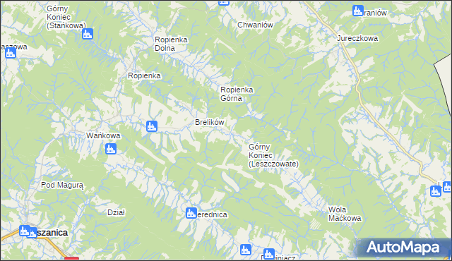 mapa Leszczowate, Leszczowate na mapie Targeo