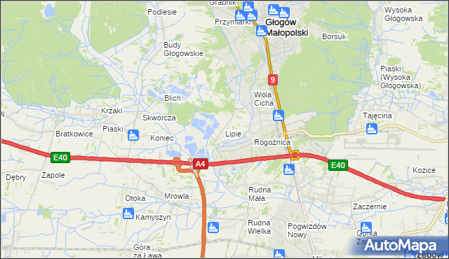 mapa Lipie gmina Głogów Małopolski, Lipie gmina Głogów Małopolski na mapie Targeo