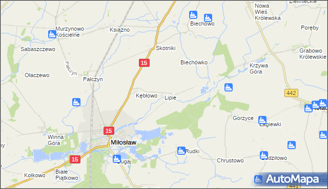 mapa Lipie gmina Miłosław, Lipie gmina Miłosław na mapie Targeo