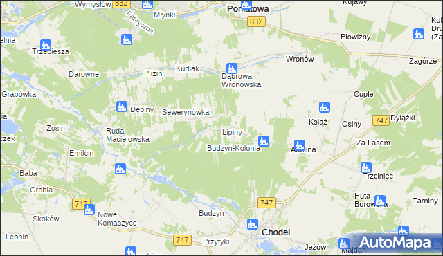 mapa Lipiny gmina Chodel, Lipiny gmina Chodel na mapie Targeo