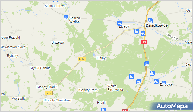 mapa Lipiny gmina Dziadkowice, Lipiny gmina Dziadkowice na mapie Targeo