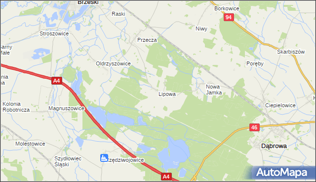 mapa Lipowa gmina Dąbrowa, Lipowa gmina Dąbrowa na mapie Targeo