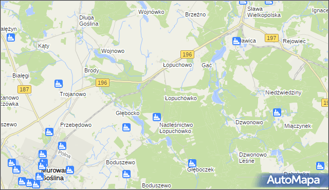 mapa Łopuchówko, Łopuchówko na mapie Targeo