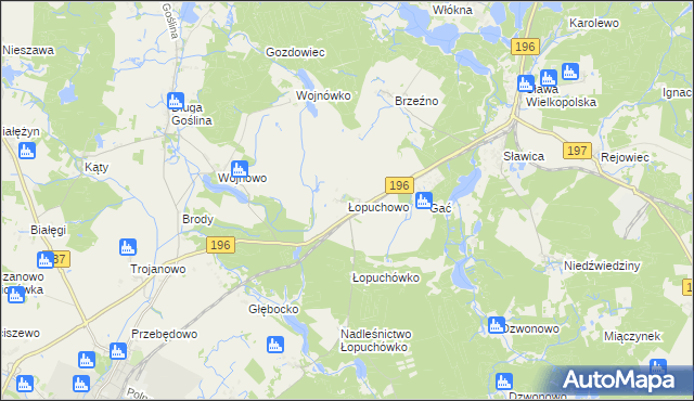 mapa Łopuchowo gmina Murowana Goślina, Łopuchowo gmina Murowana Goślina na mapie Targeo