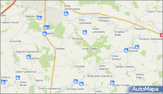 mapa Łosie-Dołęgi, Łosie-Dołęgi na mapie Targeo