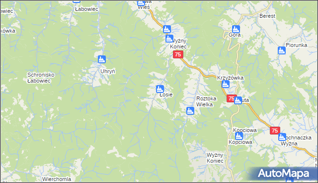 mapa Łosie gmina Łabowa, Łosie gmina Łabowa na mapie Targeo