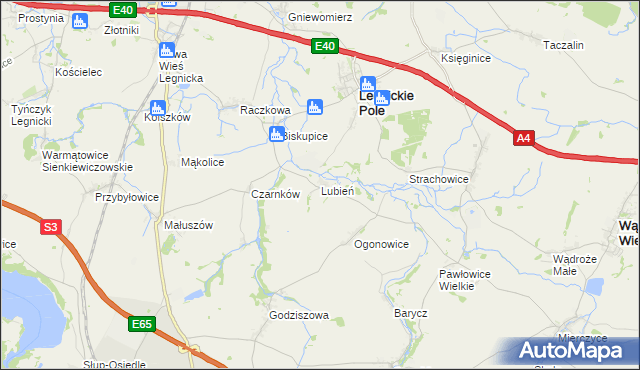 mapa Lubień gmina Legnickie Pole, Lubień gmina Legnickie Pole na mapie Targeo