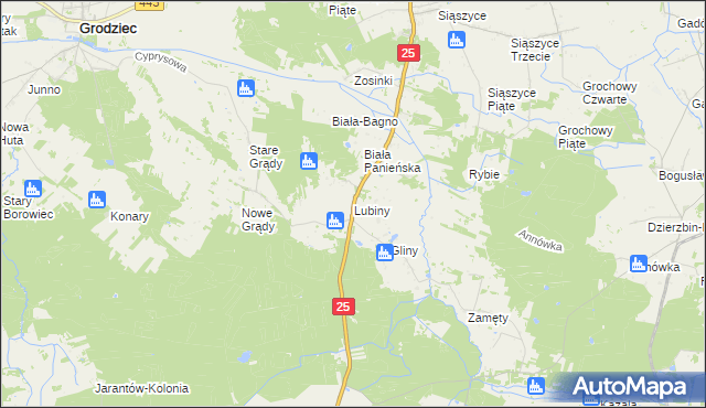 mapa Lubiny gmina Rychwał, Lubiny gmina Rychwał na mapie Targeo