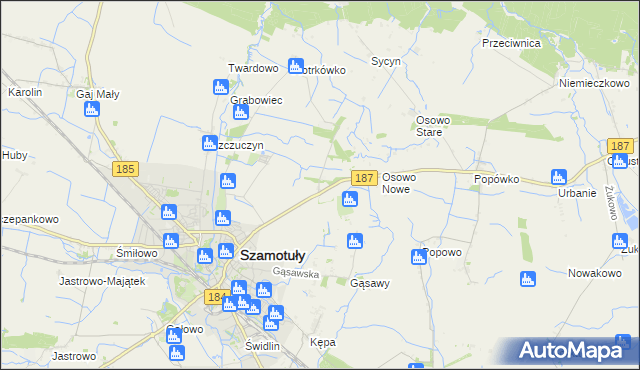 mapa Ludwikowo gmina Szamotuły, Ludwikowo gmina Szamotuły na mapie Targeo