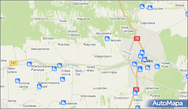 mapa Małgorzacin gmina Lipsko, Małgorzacin gmina Lipsko na mapie Targeo