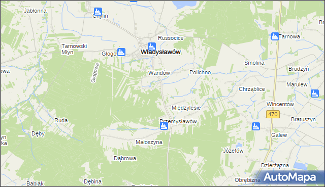 mapa Mariantów gmina Władysławów, Mariantów gmina Władysławów na mapie Targeo