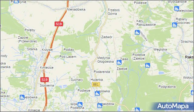 mapa Medynia Głogowska, Medynia Głogowska na mapie Targeo